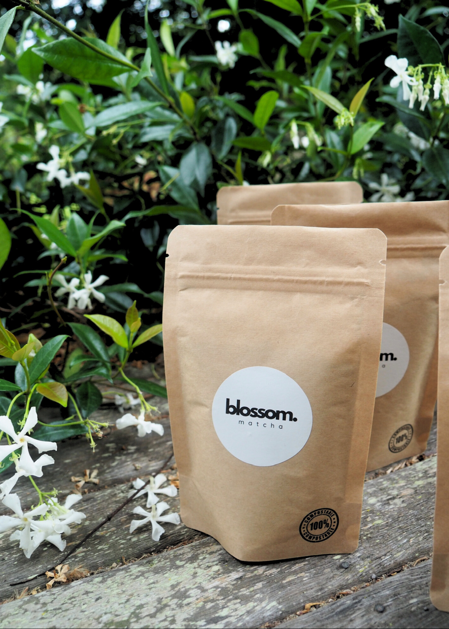 Blossom Matcha Bundle